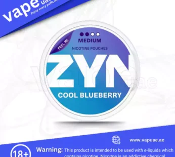 Zyn Cool Blueberry Nicotine Pouches